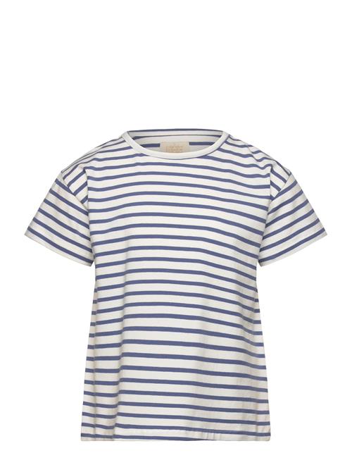 Se Creamie T-Shirt Ss Stripe Creamie Blue ved Booztlet