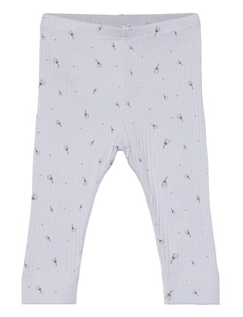 Fixoni Leggings Rib Fixoni Blue