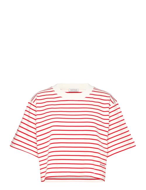 Cropped Tee House Of Dagmar Red