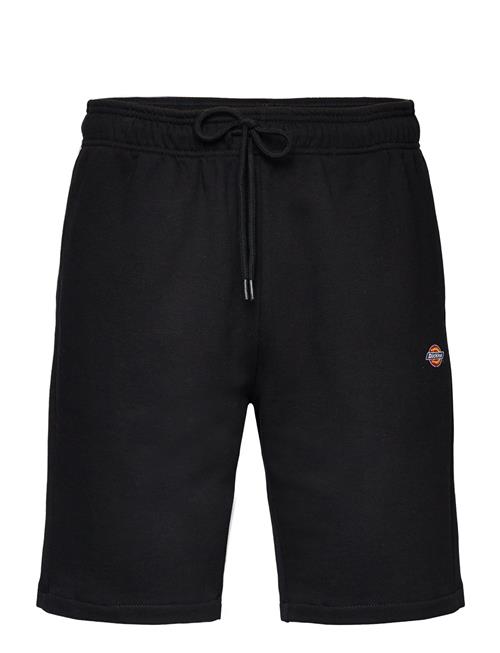 Dickies Mapleton Short Dickies Black