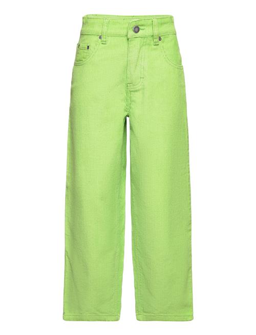 Molo Aiden Molo Green