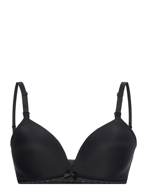 Dorina May Light Padded Soft Bra Dorina Black