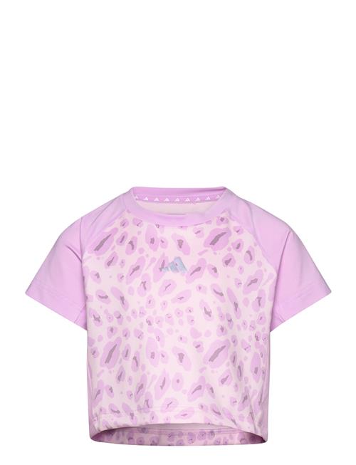 Se adidas Performance Jg Aop Tee Adidas Performance Pink ved Booztlet