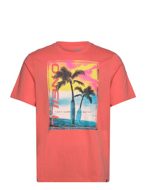 O'neill Jack O'neill Neon T-Shirt O'neill Coral