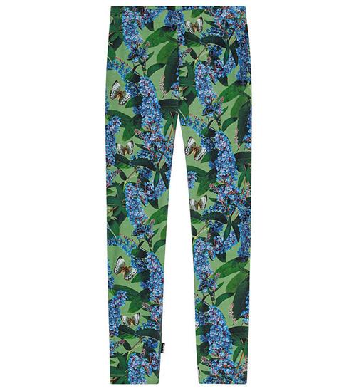 Se Molo Leggings - Niki - BuddLeja Garden ved KidsWorld