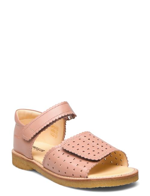 ANGULUS Sandals - Flat - Open Toe - Clo ANGULUS Pink