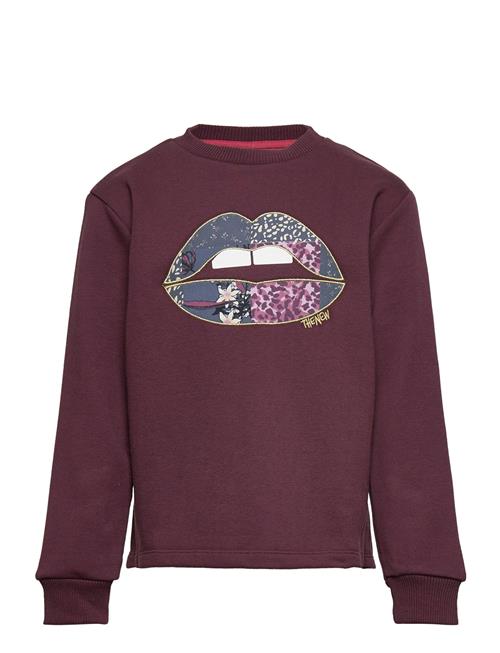 Se The New Tndallas Sweatshirt The New Burgundy ved Booztlet