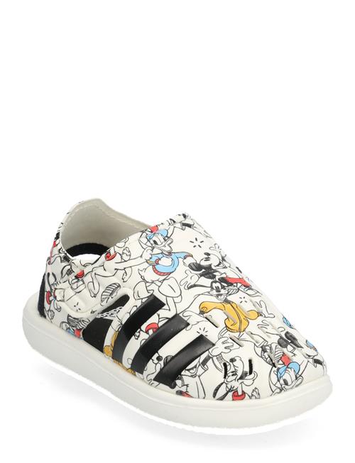 Se adidas Performance Water Sandal Mickey I Adidas Performance Patterned ved Booztlet