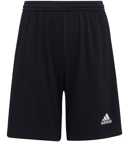 adidas Performance adidas Performance Shorts - ENT22 - Sort