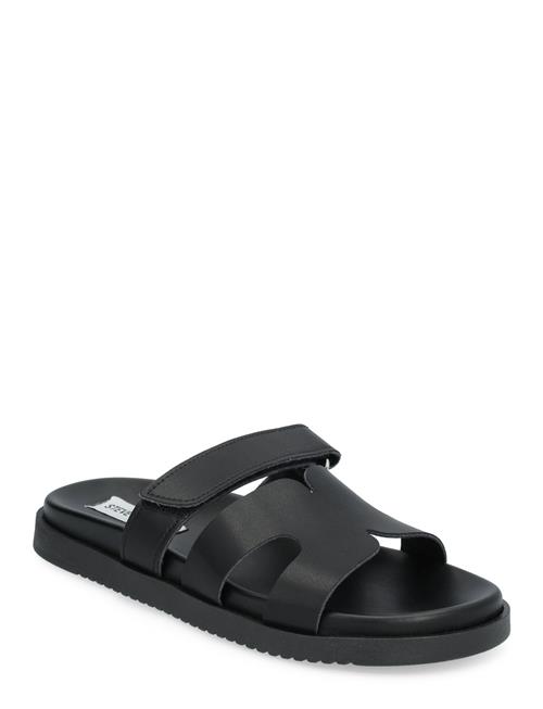 Missile-E Sandal Steve Madden Black