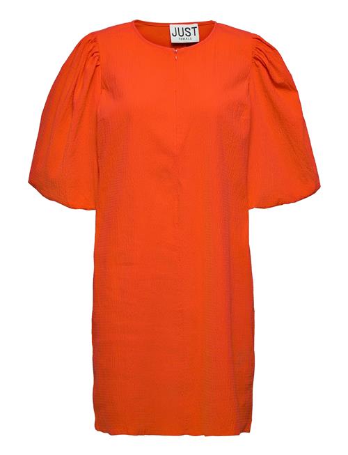 Just Female Brisk Dress Just Female Orange