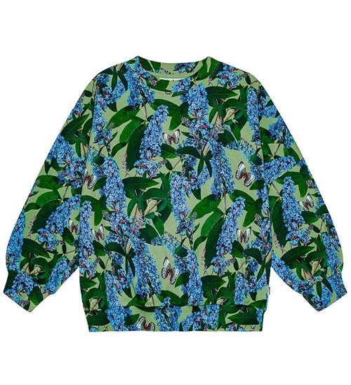 Molo Molo Sweatshirt - Marika - BuddLeja Garden