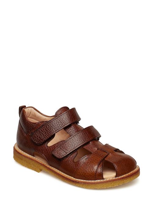 ANGULUS Sandals - Flat - Closed Toe - ANGULUS Brown