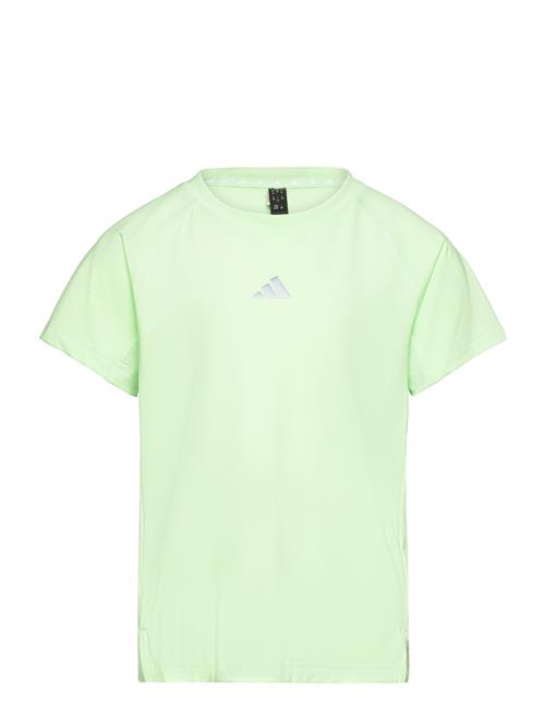 Jg Tee Adidas Performance Green