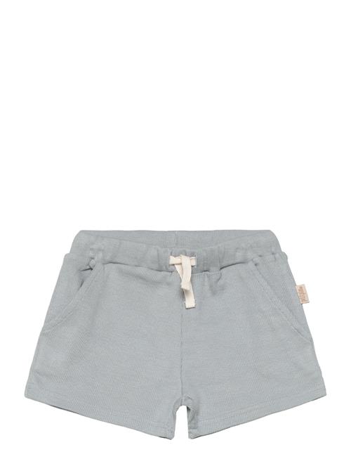 Petit Piao Shorts Modal Petit Piao Blue