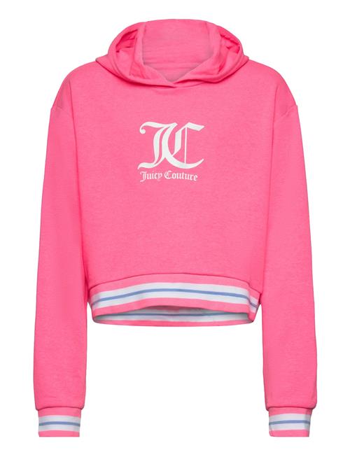 Se Juicy Couture Juicy Rib Tipping Oth Hoodie Lb Juicy Couture Pink ved Booztlet