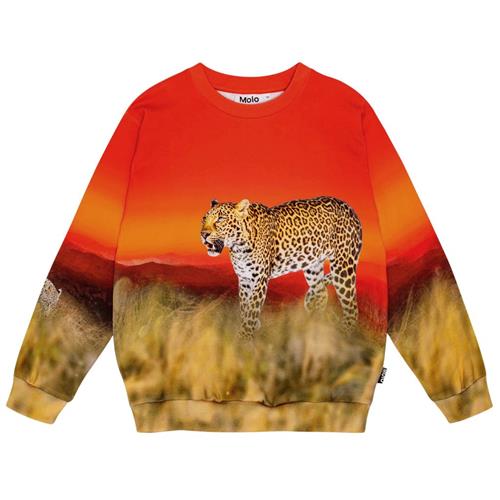 Molo GOTS Miksi Sweatshirt Red Sky Leopard | Rød | 92 cm