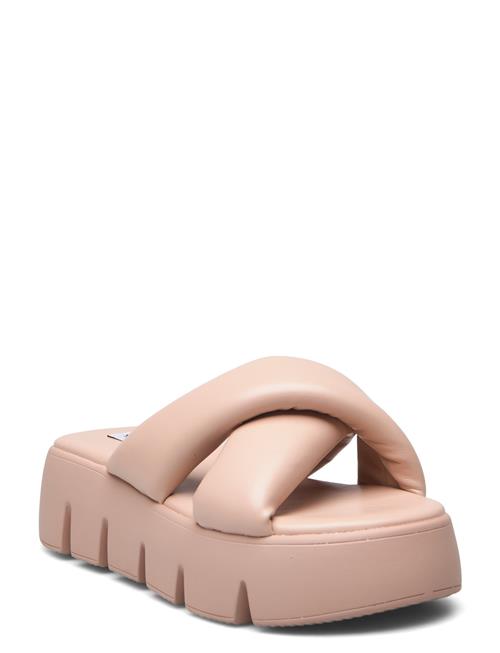 Steve Madden Broadcast Sandal Steve Madden Pink