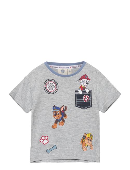 Paw Patrol Short-Sleeved T-Shirt Paw Patrol Grey