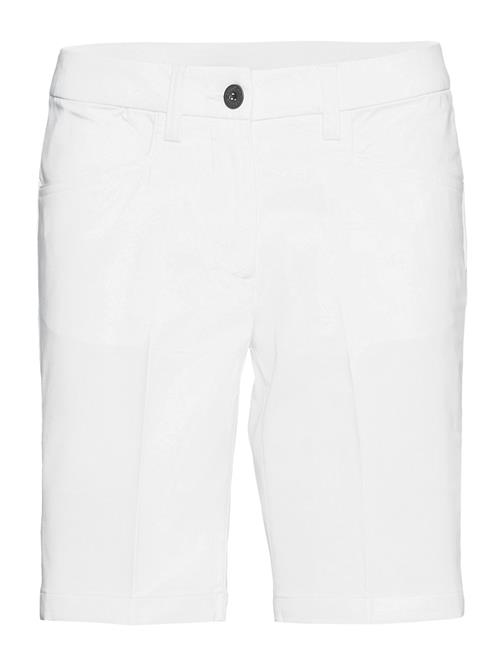 Se Abacus Lds Cleek Stretch Shorts 46Cm Abacus White ved Booztlet