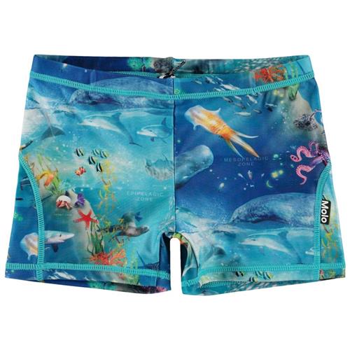 Se Molo Norton Badebukser Ocean Zones | Blå | 122/128 cm ved Babyshop