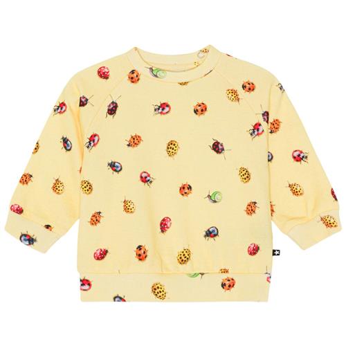 Se Molo GOTS Disc Sweatshirt Coccinella | Gul | 80 cm ved Babyshop