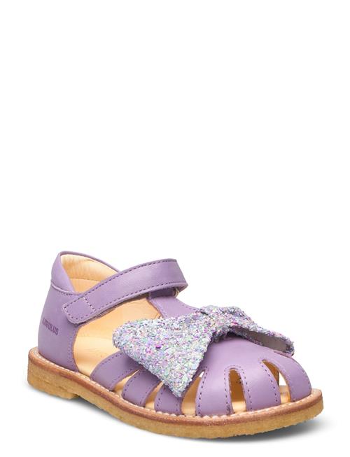 ANGULUS Sandals - Flat - Closed Toe - ANGULUS Purple