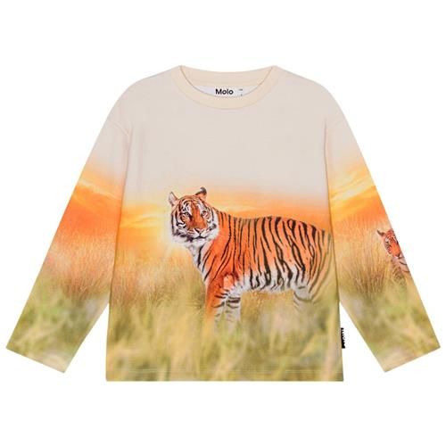 Molo GOTS Mountoo Sweatshirt Sunrise Tiger | Orange | 140 cm