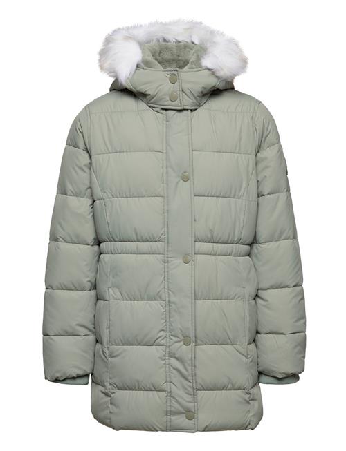 Abercrombie & Fitch Kids Girls Outerwear Abercrombie & Fitch Grey