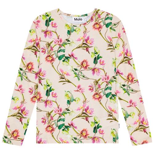 Molo GOTS Rose Langærmet T-shirt Hellebore |  | 104 cm