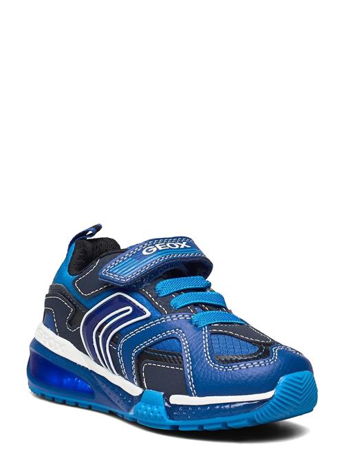 GEOX J Bayonyc Boy A GEOX Blue