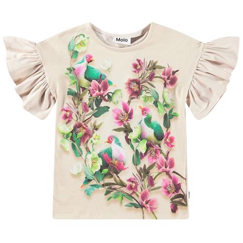 Se Molo GOTS Rayah T-shirt Fruit Doves | Beige | 98 cm ved Babyshop