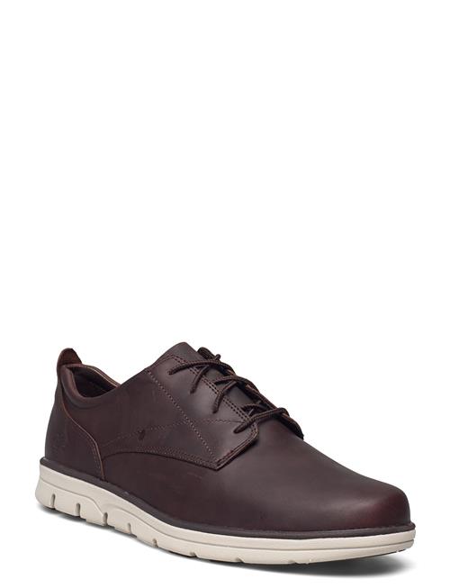 Timberland Low Lace Up Sneaker Timberland Brown