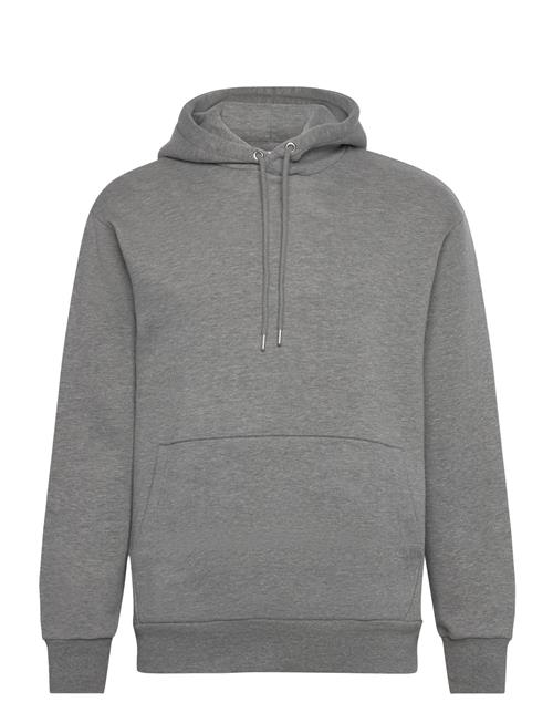 Selected Homme Slhreg-Dan Sweat Hood Selected Homme Grey