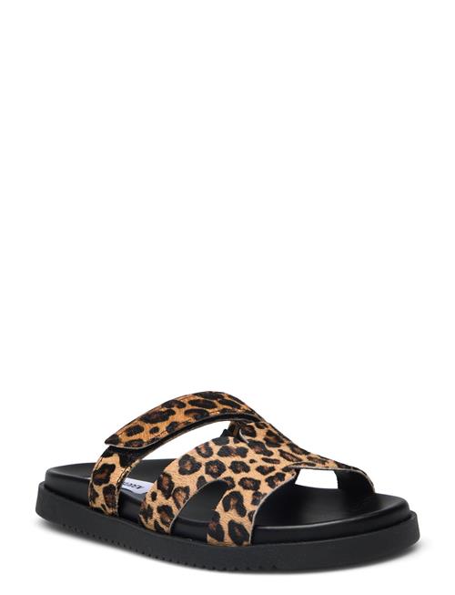 Se Steve Madden Missile-L Sandal Steve Madden Black ved Booztlet