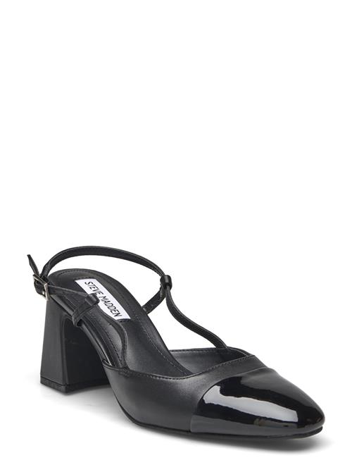 Se Steve Madden Zeina Sandal Steve Madden Black ved Booztlet