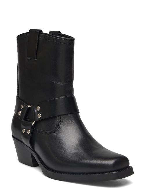 Se Quintana Boots Steve Madden Black ved Booztlet