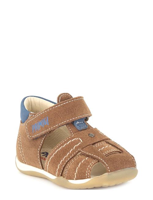 Se Primigi Piz 59105 Primigi Brown ved Booztlet