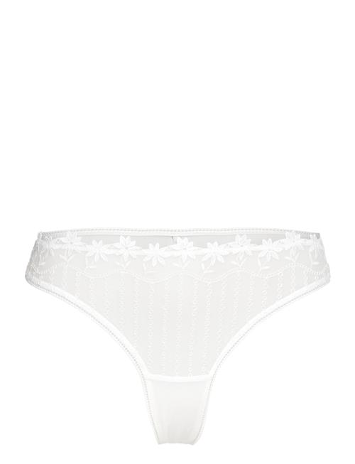 Paquerette Tanga Etam White