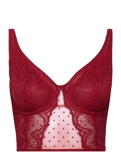 Gilly Hicks Gh Female Bralettes Gilly Hicks Burgundy