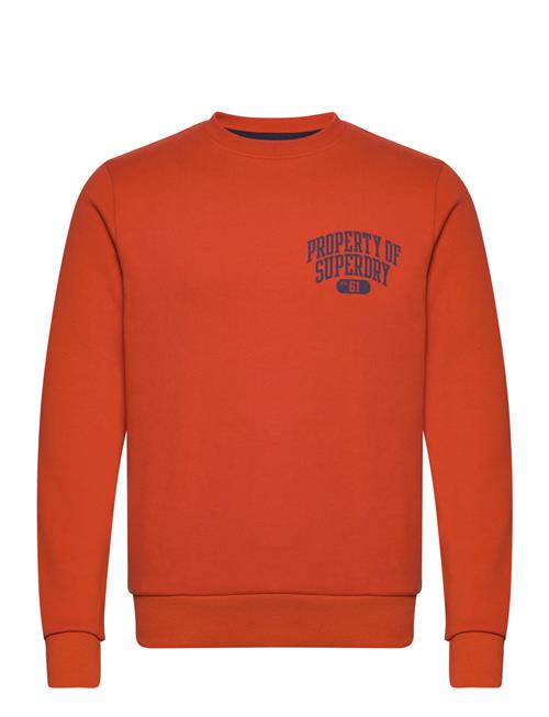 Se Superdry Athletic Script Flock Sweat Superdry Orange ved Booztlet