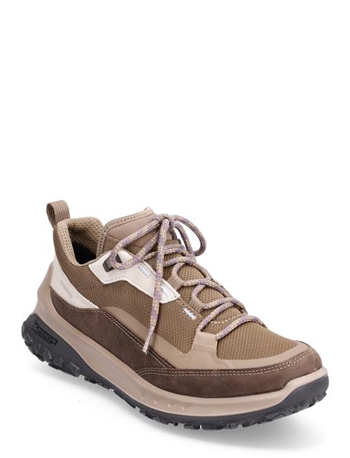 ECCO Ult-Trn W ECCO Brown