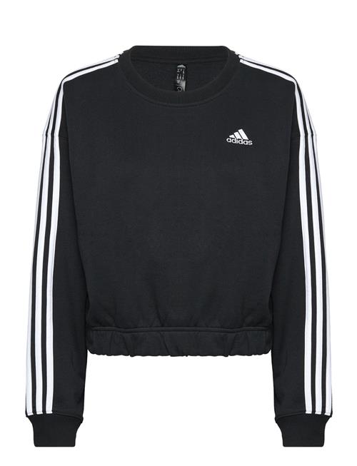 Se adidas Sportswear Essentials 3-Stripes Crop Sweatshirt Adidas Sportswear Black ved Booztlet