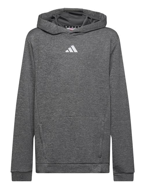 J Hea Hoodie Adidas Performance Grey