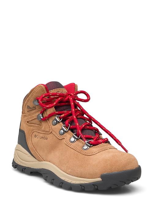 Se Columbia Sportswear Newton Ridge Plus Waterproof Amped Columbia Sportswear Brown ved Booztlet