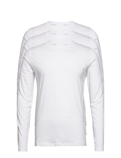 Lindbergh 3Pk Basic Tee L/S Lindbergh White