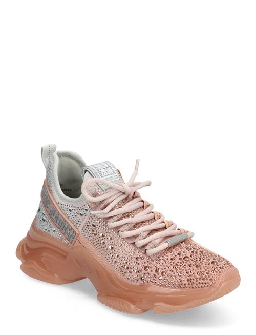 Se Steve Madden Mistica Sneaker Steve Madden Pink ved Booztlet