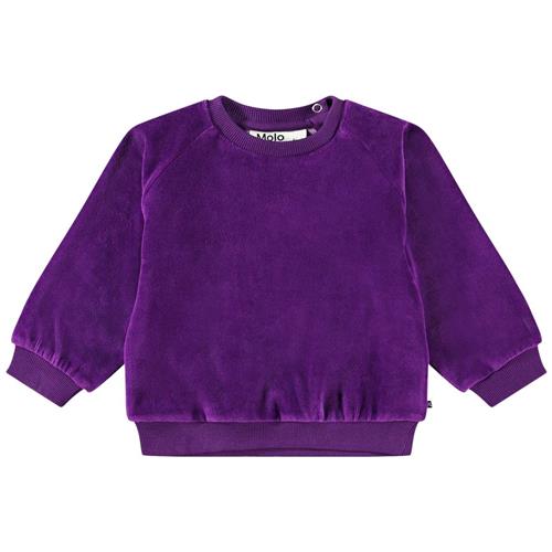 Se Molo Disc Sweatshirt Lilla | Lilla | 74 cm ved Babyshop