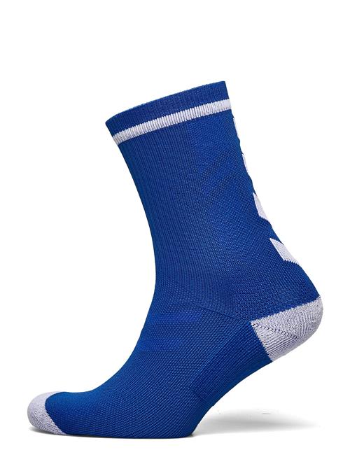 Elite Indoor Sock Low Hummel Blue