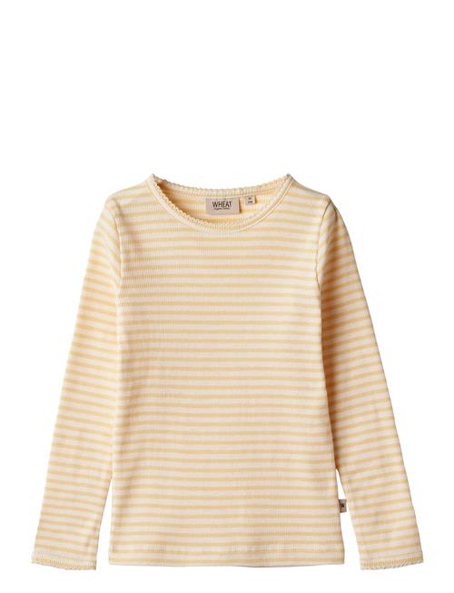 Wheat T-Shirt L/S Belis Wheat Yellow